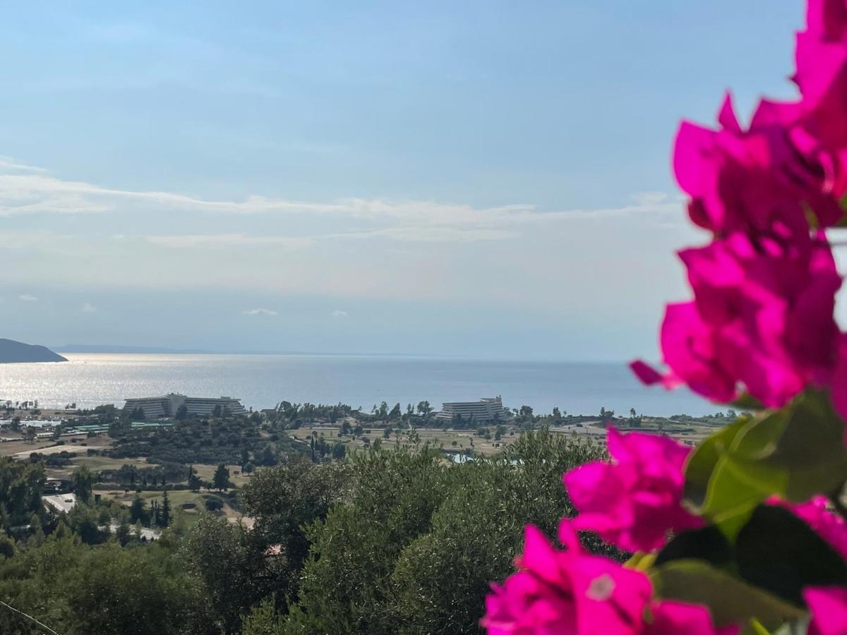 Sithonian Villa Neos Marmaras Luaran gambar